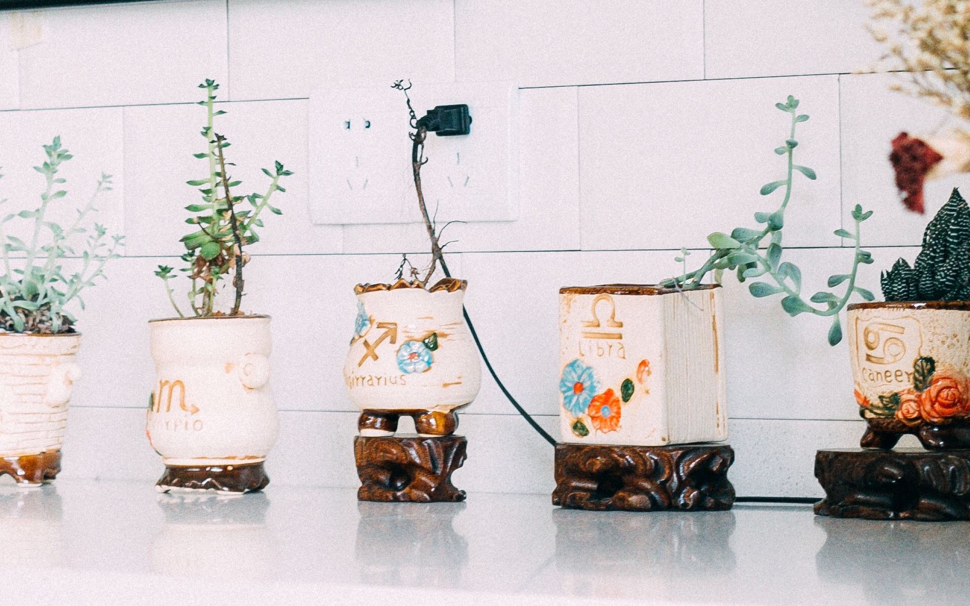 一定要追自己喜欢的女生的星座男,只要喜欢你就不放弃追求的星座男