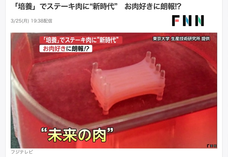 不含反式脂肪的月饼,不含糖不含油的素月饼