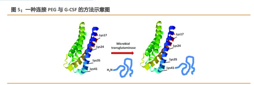 亿帆医药专题研究报告：创新药业务纵横四海，制剂业务保驾护航