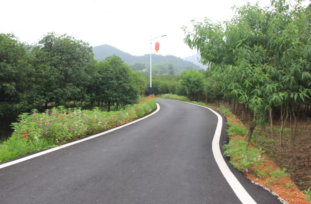 新建足球场现状,最新足球场建设规划图