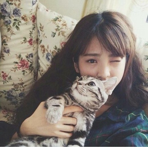 猫咪出血怎么办？首先你得搞清楚原因