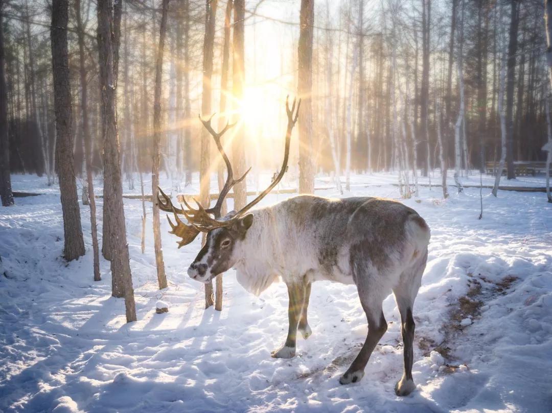 武汉周边自驾一日游小众免费,国内最值得自驾游旅行的地方