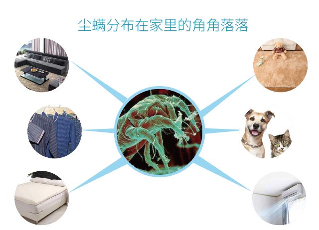 纯天然植物萃取抑菌剂,植物萃取抗菌除螨剂