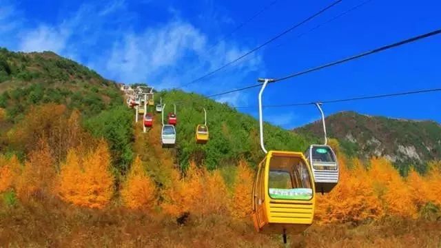 2021秦岭鸡窝子分水岭红叶,秦岭红叶最佳自驾线