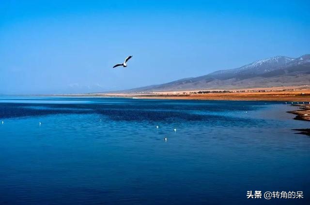 色达自驾成都攻略最佳路线,色达县自驾成都