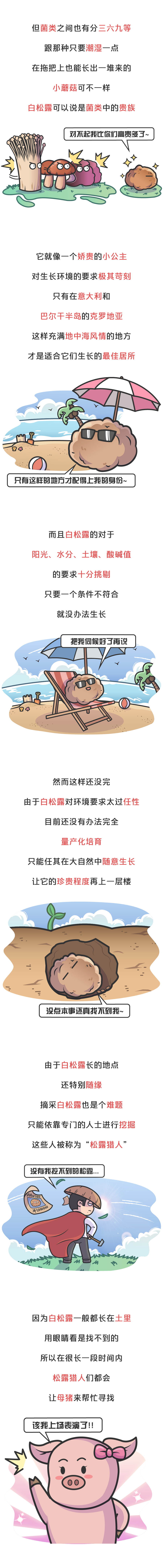 为啥白松露护肤品那么便宜,白松露真的有那么好吗