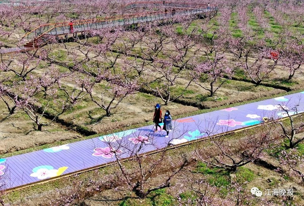 南通已经入春了吗,今年南通什么时候入春