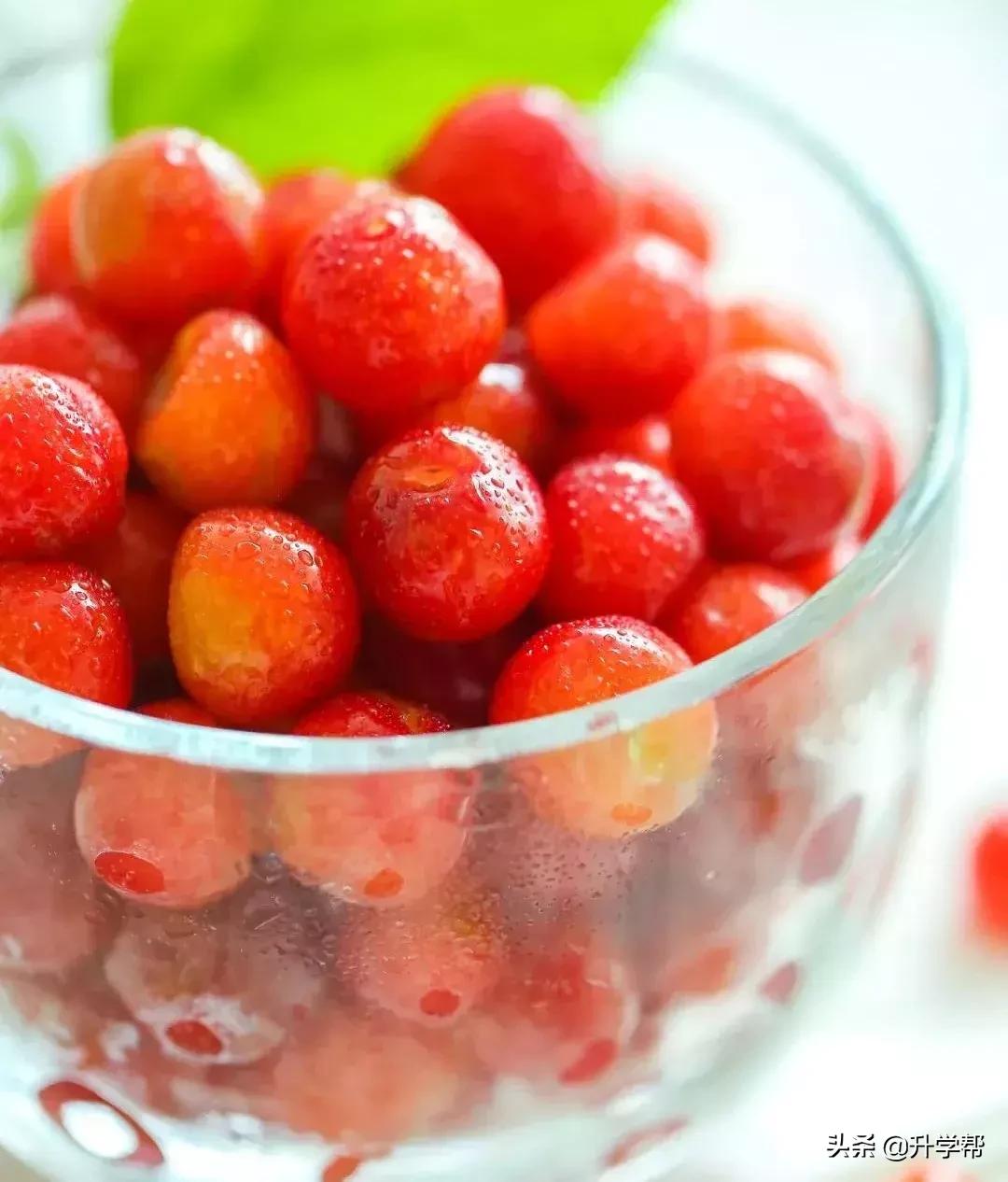 恩桃儿的视频,恩桃儿红了