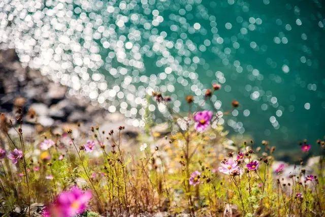 九寨沟旅游神奇的九寨,九寨沟风景不输瑞士