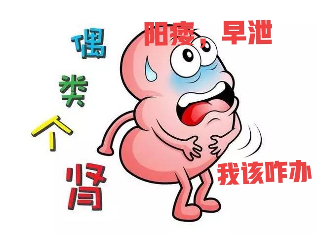 肾气虚肾阳虚肾阴虚会一起出现吗,肾阴虚肾气虚肾阳虚都有什么特点