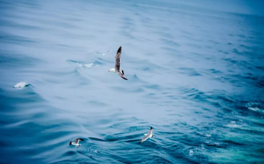 比普吉岛少的岛,比巴厘岛好玩的岛