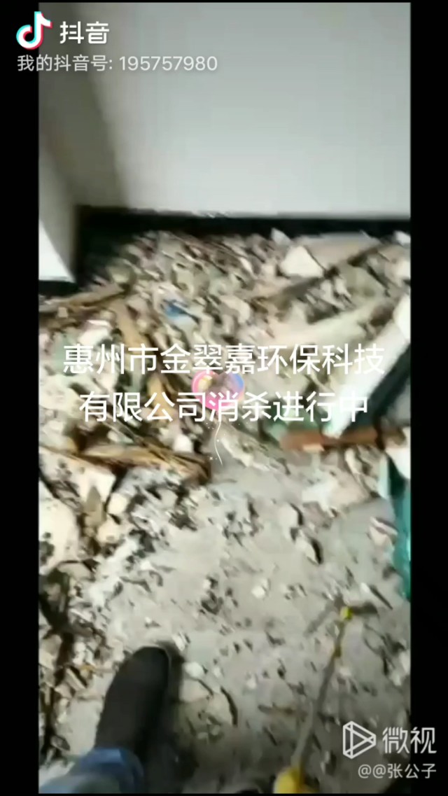 仁和区专业灭鼠灭白蚁除蟑螂公司,惠州上门灭白蚁公司厂家