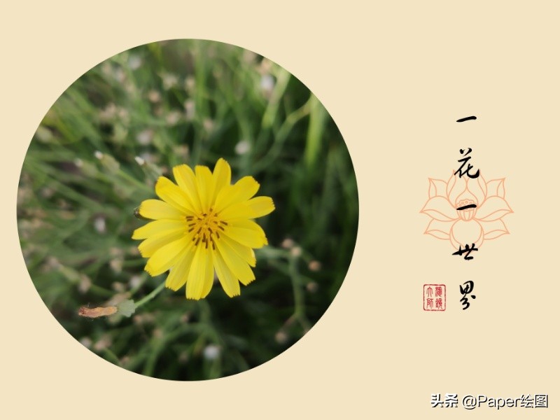 图片不清晰有什么办法解决,图片不清晰怎么处理