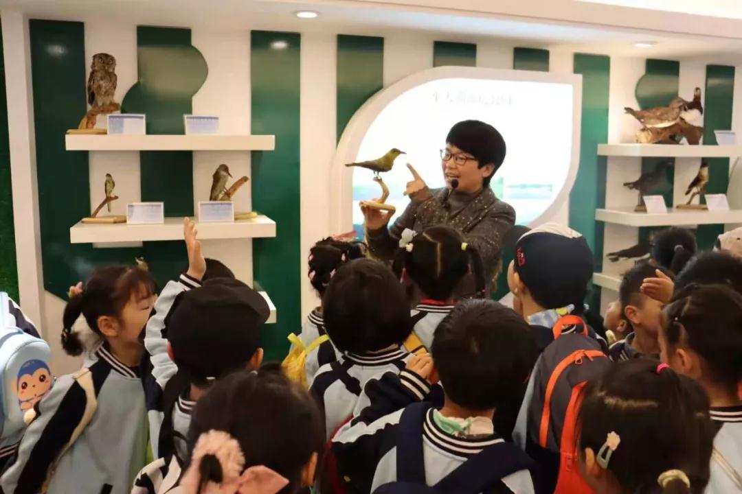 爱鸟保护野生动物,安徽平天湖国家湿地公园