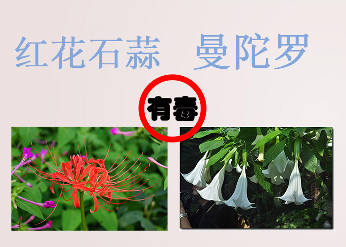 海南食物中毒,三亚吃东西食物中毒媒体曝光