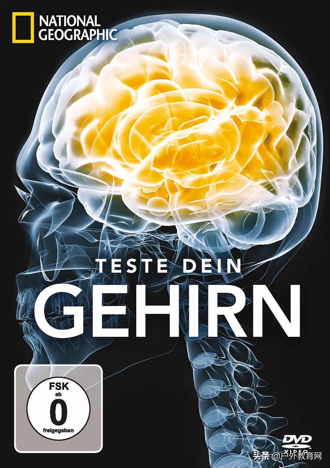 暑假孩子涨知识的纪录片,学习各个学科适合看的动画片