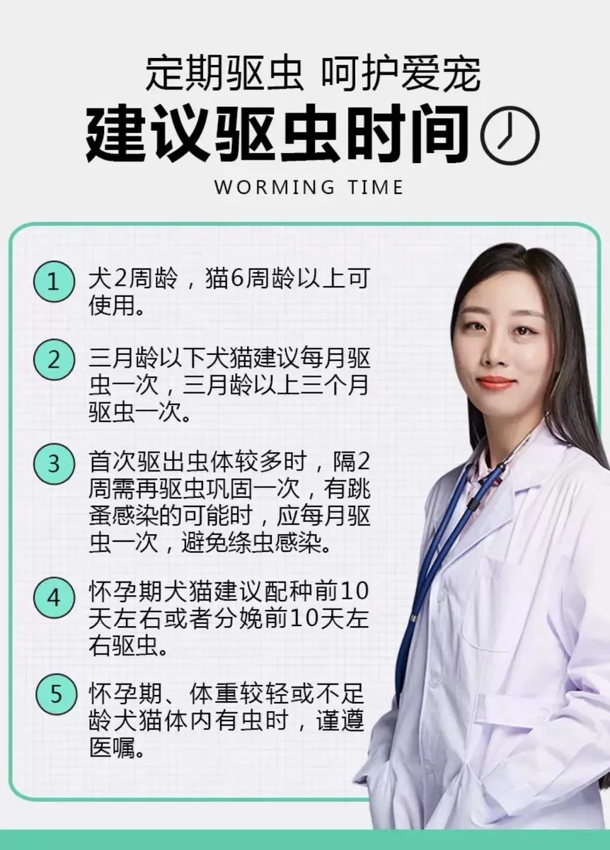 怎样给宠物驱虫以及驱虫的好处,宠物医生驱虫