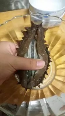 海参内脏洗不掉,为什么小摊海参不清理内脏