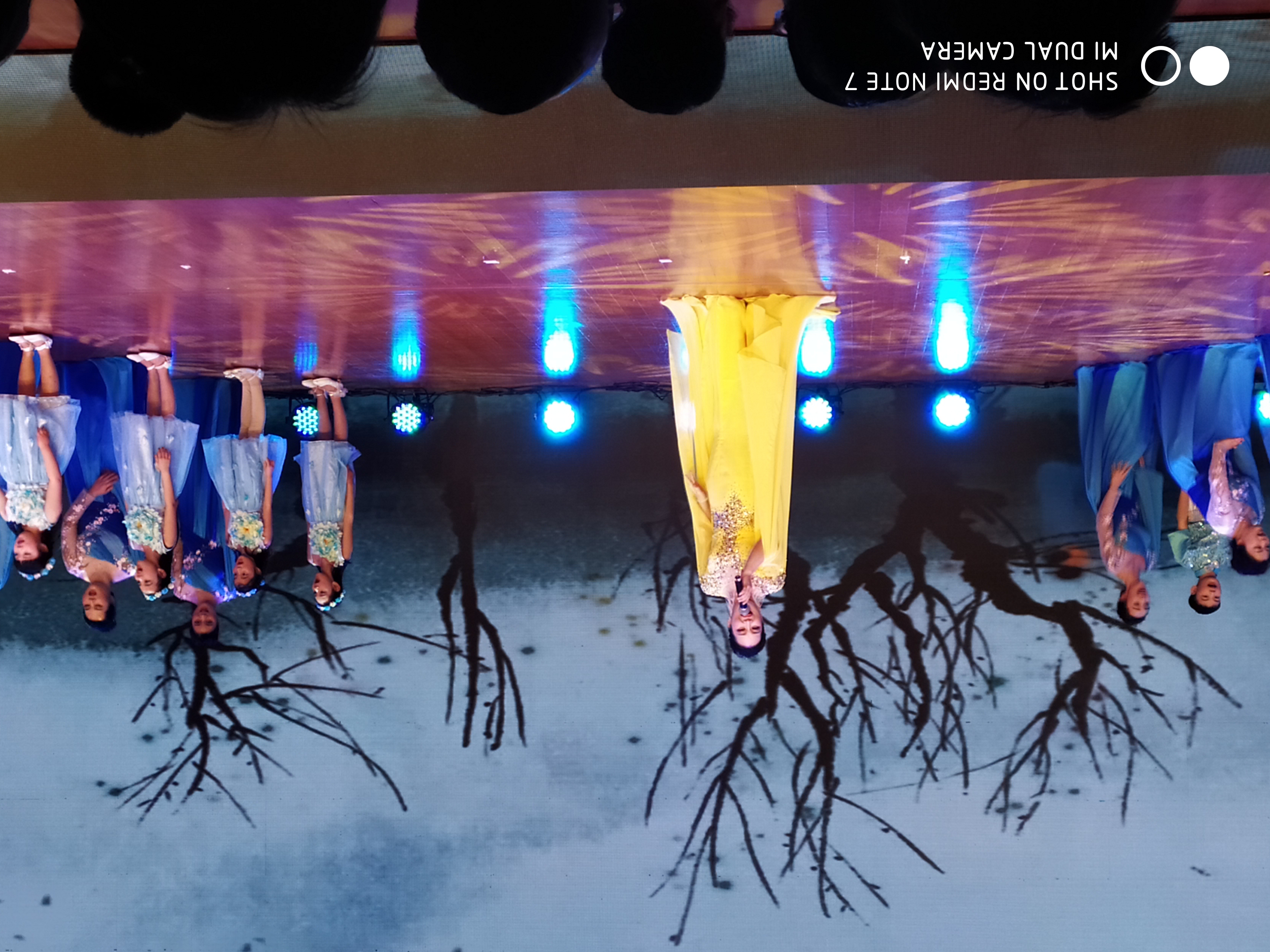 舒之韵百灵鸟声乐培训,舒之韵