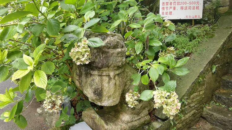 黔南第一山在什么地方,黔南第一山在哪里