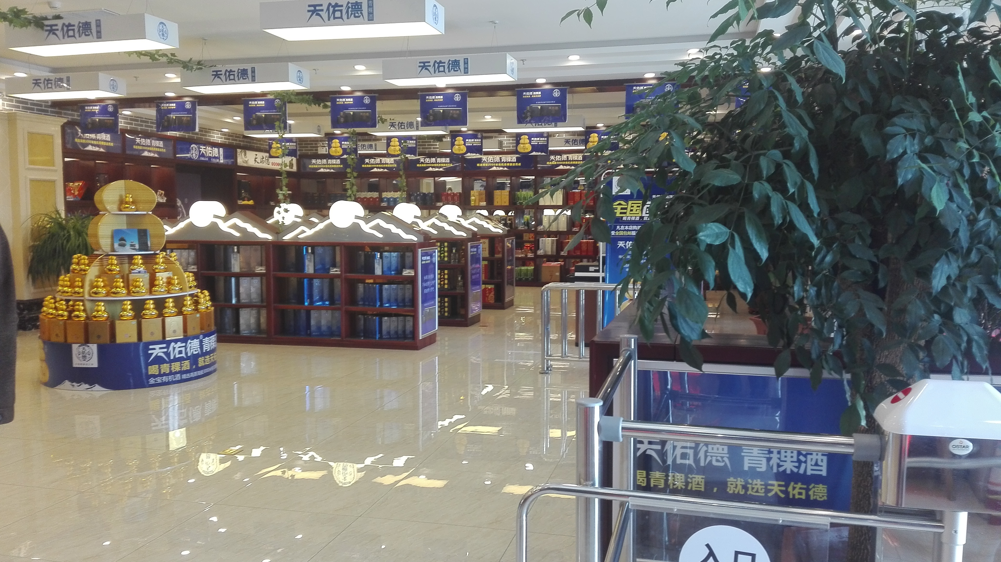 酒香不怕,互助正宗青稞酒