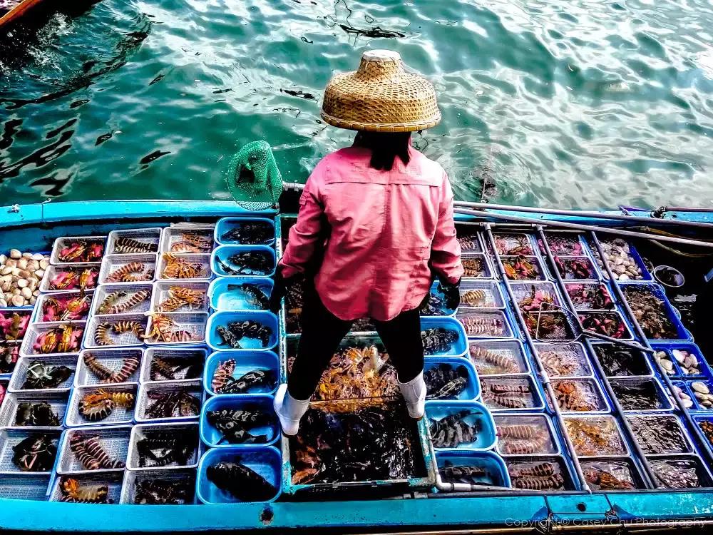 机票太贵往返三千多还有必要去吗,国内往返机票比单程便宜