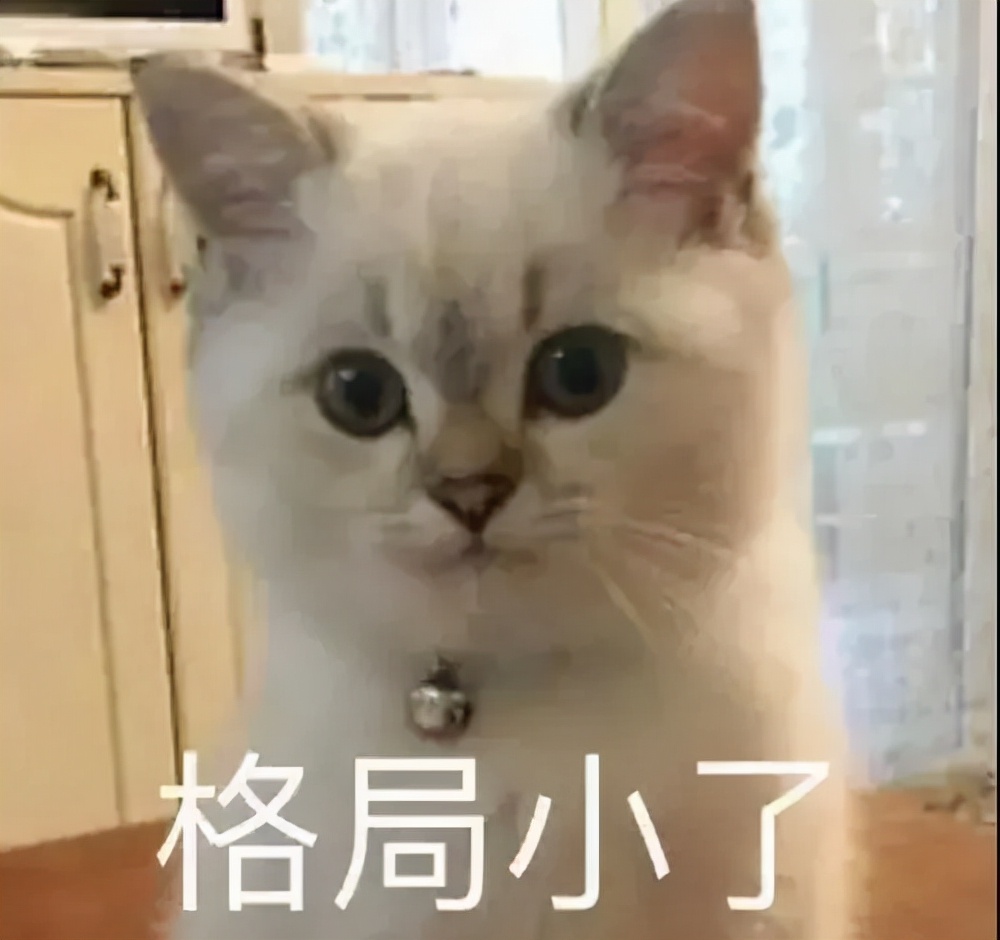 涓婃捣鐢电珵璐墿涓績,鐢电珵涓婚璐墿涓績