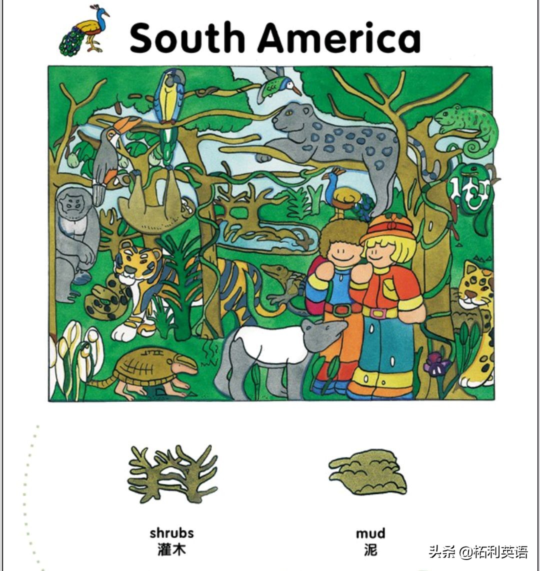 生活中常用的3000个英语单词短语,生活英语单词谐音大全