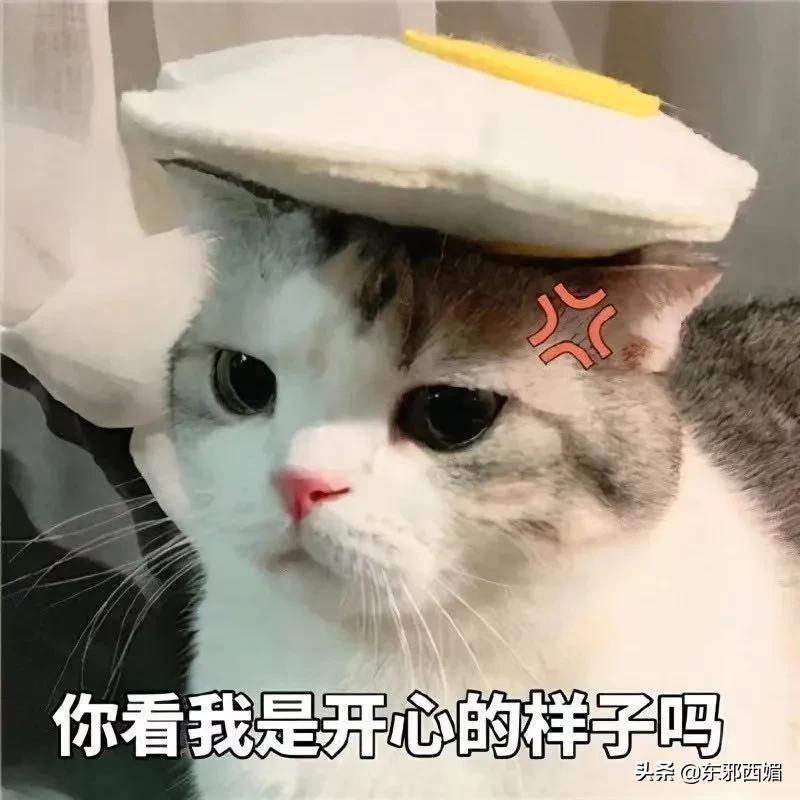 太离谱了,还我酷飒女精英啊