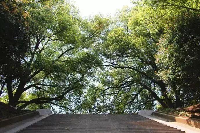 免费公园南京,南京江北免费公园