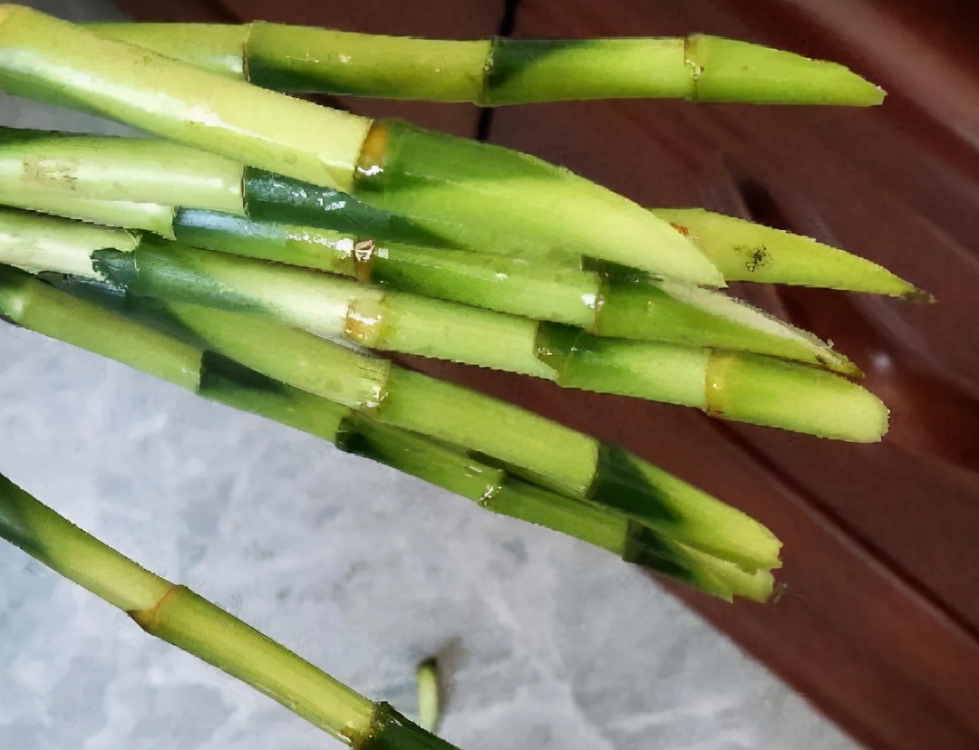 新买的富贵竹枝干，水培迟迟不生根，该怎么解决？