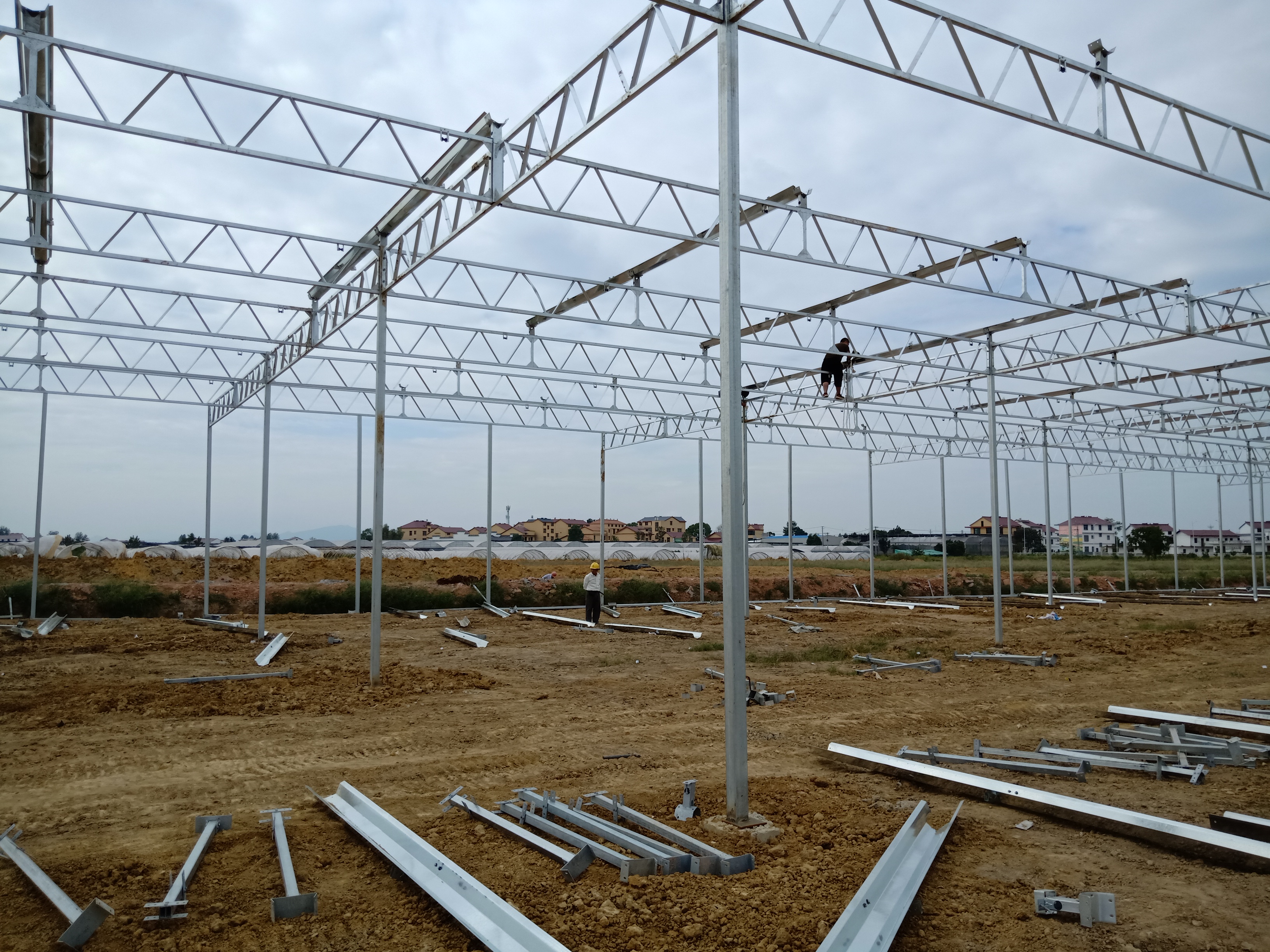 普通温室大棚一亩地造价多少,一亩全自动温室大棚要多少钱