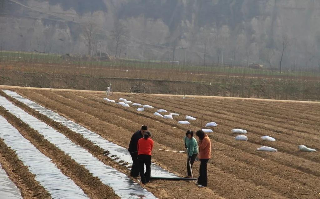 怎样辨别网上的农资真假,网络不是法外之地靠谱吗