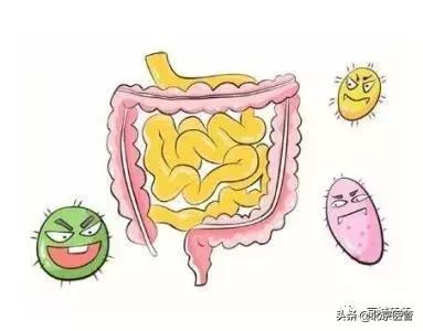 拉肚子腹泻一招解决,夏季拉肚子食疗最好方法