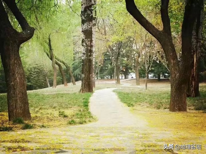 济南舜耕历山遗址,济南市市中区舜耕路舜耕山庄