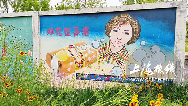 杨浦最新网红打卡,上海杨浦区网红打卡