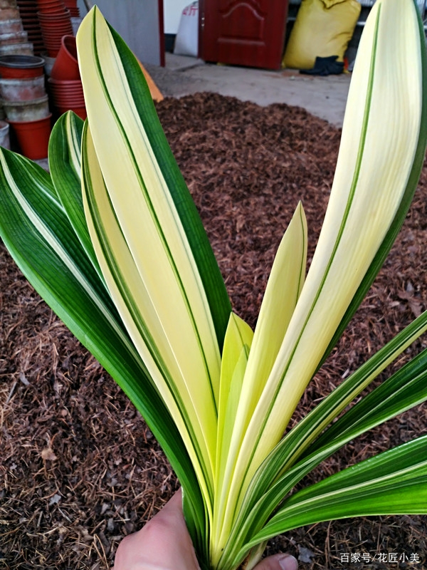 当温度过低或过高会发生什么,当温度到38度时有什么办法