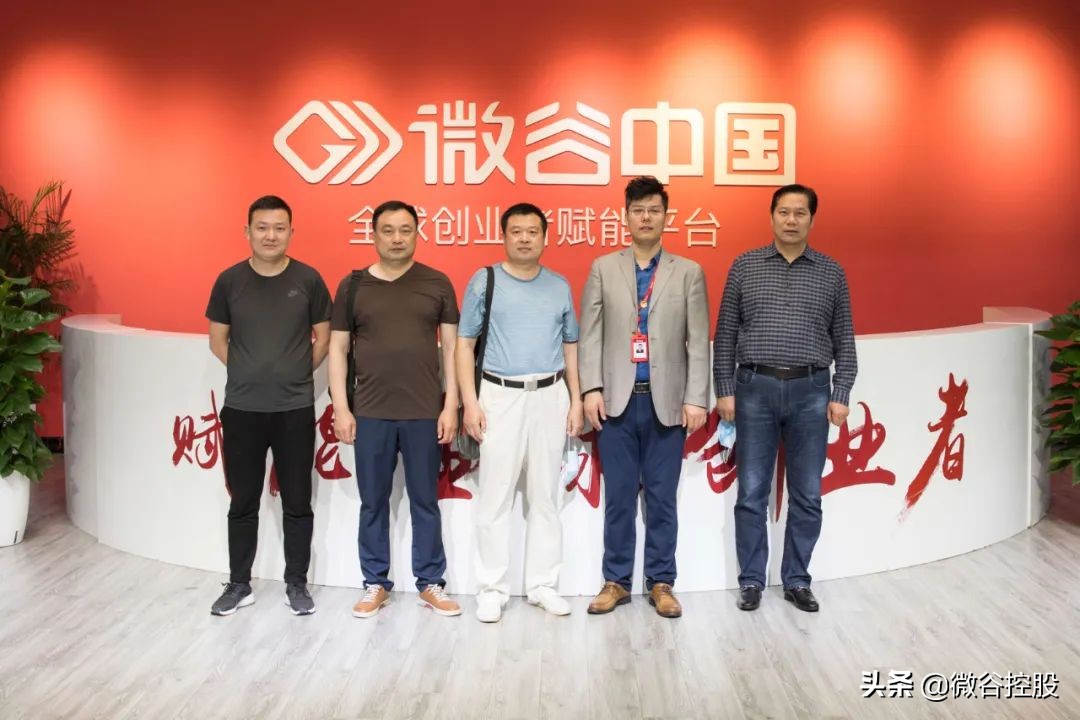 微谷国际怎么样,微谷国际全球计划