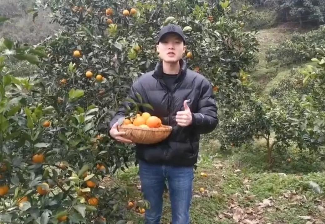 现代年轻人创业出路,为什么越来越多的年轻人回乡创业