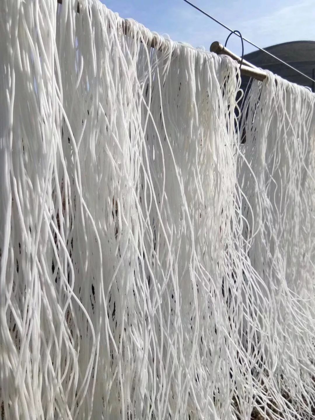 东北纯土豆粉条家常菜,干土豆粉条怎么泡