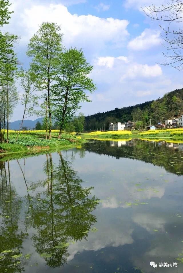 雨城区乡镇名称,雨城区区划