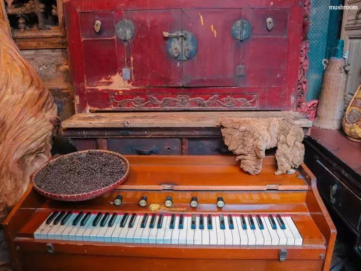 成都二手办公家具旧货市场有哪些,成都二手美发用品旧货市场