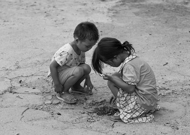 同样的环境下为何有白蚁和黑蚁,阴虱与虱子是同一种虫子吗