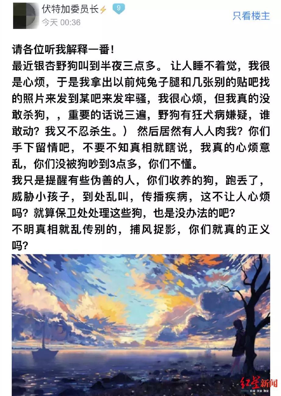 “三下把狗头打碎！”成都疑现虐狗研究生，目前正在调查