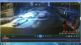 女子独自走夜路，遭陌生男子尾随“猥亵”