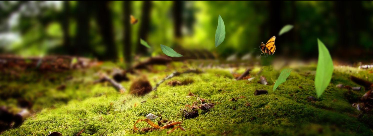 设计师免费素材库大全无水印高清,设计师高端素材库推荐