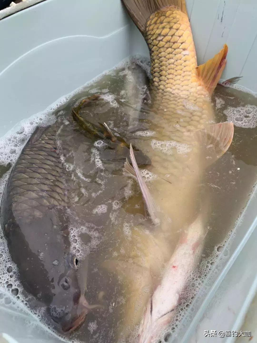 在家没事制作钓鱼浮漂,没事自己制作一根钓鱼竿