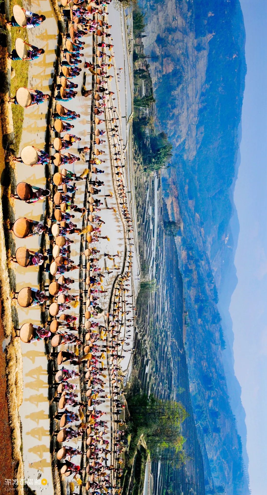 云南红河有什么特色,云南红河乡的风景