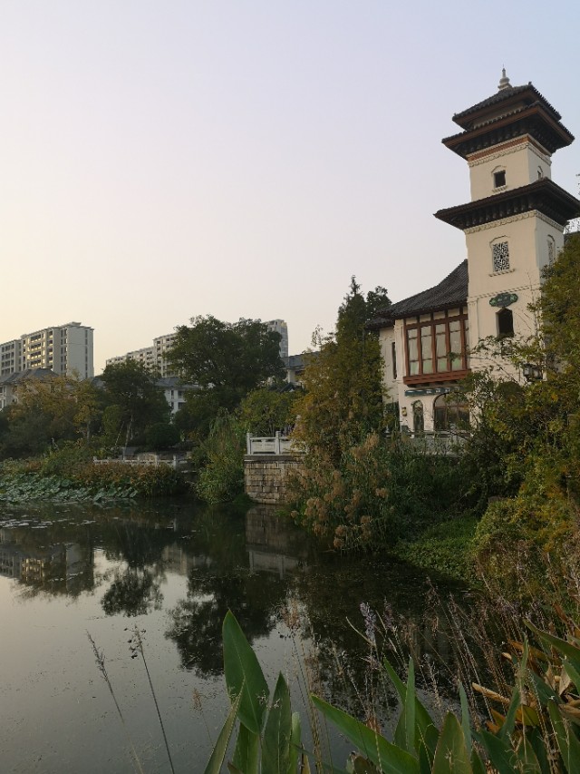 乌镇雅园养老的运营模式,乌镇雅园养老房值得购买吗