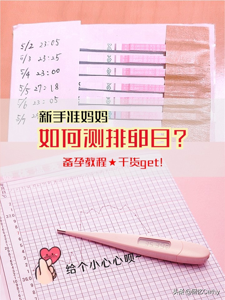 备孕期测排卵哪种方法准确率高,备孕测排卵的正确方法